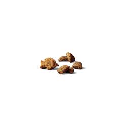 Purina Pro Plan Complete Essentials dry dog food kibble