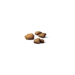 Purina Pro Plan Complete Essentials alimento seco para perros croquetas