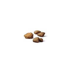 Purina Pro Plan Complete Essentials dry dog food kibble