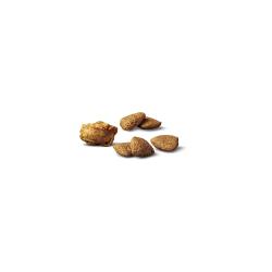 Purina Pro Plan Complete Essentials dry dog food kibble