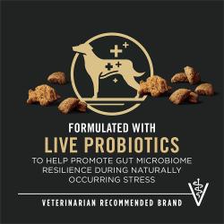 Etiqueta del paquete de alimento para perros que resalta “Probióticos vivos” y “Marca recomendada por veterinarios”