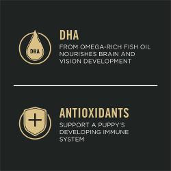 Dog food package label highlighting 'Antioxidants' and 'DHA
