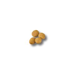 Purina Pro Plan Puppy dry dog food kibble