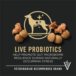 Etiqueta del paquete de alimento para perros que resalta “Probióticos vivos” y “Marca recomendada por veterinarios”