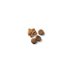 Alimento seco para cachorros Purina Pro Plan croquetas