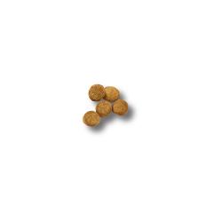 croquetas de alimento seco para cachorros Purina Pro Plan