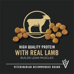 Etiqueta del paquete de alimento para perros que destaca “Proteína de alta calidad” y “Marca recomendada por veterinarios”