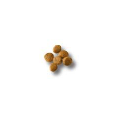 Alimento seco para cachorros de raza pequeña Purina Pro Plan croquetas
