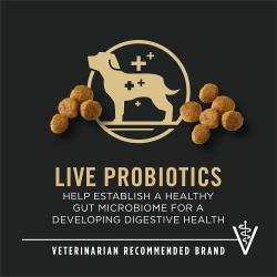 Etiqueta del empaque de alimento para perros que resalta “Probióticos vivos” y “Marca recomendada por veterinarios”