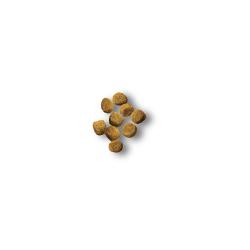 Purina Pro Plan Puppy Toy Breed dry dog food kibble