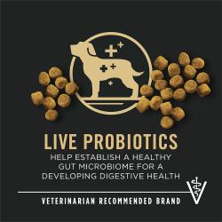 Dog food package label highlighting 'High Protein' and 'Veterinarian Recommended Brand'