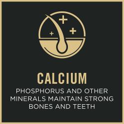 Dog food package label highlighting 'Calcium'
