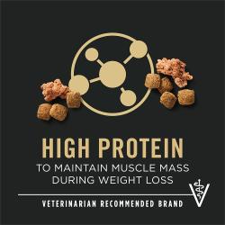 Dog food package label highlighting 'High Protein' and 'Veterinarian Recommended Brand'