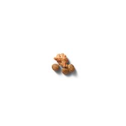 Purina Pro Plan Small Breed Senior Shredded Blend dry dog food kibble