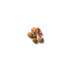 Purina Pro Plan Senior Shredded Blend dry dog food kibble