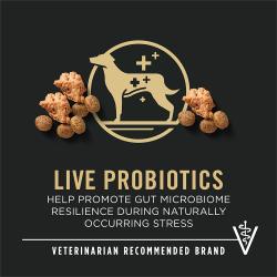 Etiqueta del paquete de alimento para perros que resalta “Probióticos vivos” y “Marca recomendada por veterinarios”
