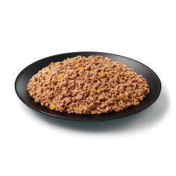 Purina Pro Plan Complete Essentials grain free turkey and sweet potato wet dog food in a dish