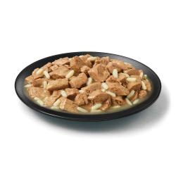 Purina Pro Plan large breed beef and rice wet dog food in a dish