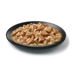 Purina Pro Plan large breed chicken and rice wet dog food in a dish