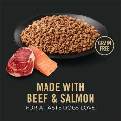 Dog food package label highlighting Made with Beef and Salmon for a Taste Dogs Love