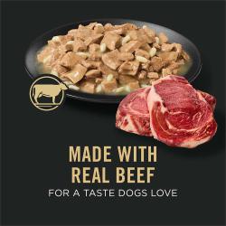 Dog food package label highlighting made with real beef for a taste dogs love