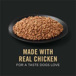 Dog food package label highlighting Made with Real Chicken for a Taste Dogs Love