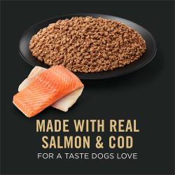 Dog food package label highlighting Made with Real Salmon and Cod for a Taste Dogs Love
