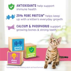 Kitten sits next to toy wooden blocks that read "growing muscles, sharp mind, and immune health." Text above the kitten reads "Antioxidants help support immune health" "25% more protein helps keep up with a kitten's everyday growth" "Calcium and phosphorus helps support growing bones and strong teeth."