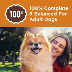 100 por ciento completo y equilibrado para perros adultos