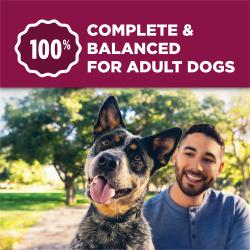 100 percent complete and balanced for adult dogs