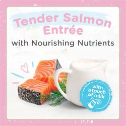 Tender Salmon Entree with Nourishing Nutrients