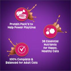 Protein Packed, 38 essential nutrients, 100% complete and balanced