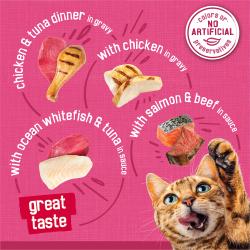 Etiqueta de alimento para gatos con sabores pollo, atún, pollo en salsa, pescado blanco del océano y salmón, y res.