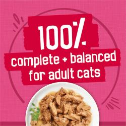 Etiqueta del envase de alimento para gatos que destaca una nutrición 100 % completa y balanceada para gatos adultos.