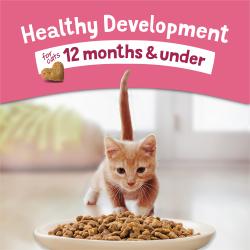 A kitten runs towards a bowl of Purina Kitten Chow. Text above reads "Health development for cats 12 months and under."