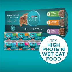 Purina ONE Plus High Protein Cat Food Dry Salmon and Ocean Whitefish Cat Skin and Coat Health Formula
