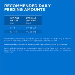 Purina ONE Plus High Protein Cat Food Dry Salmon and Ocean Whitefish Cat Skin and Coat Health Formula