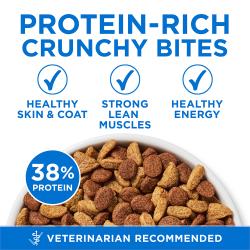 Purina ONE Plus High Protein Cat Food Dry Salmon and Ocean Whitefish Cat Skin and Coat Health Formula