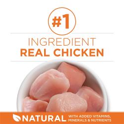 Purina ONE High Protein, Healthy Weight Plus Ideal Weight With Chicken Dry Cat Food Weight Control Formula