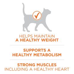 Purina ONE Alto en Proteinas, Peso Saludable Plus Peso Ideal Con Pollo Formula de Control de Peso para Gatos Seco