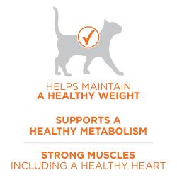 Purina ONE High Protein, Healthy Weight Plus Ideal Weight With Chicken Dry Cat Food Weight Control Formula