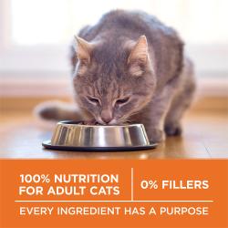 Purina ONE High Protein, Healthy Weight Plus Ideal Weight With Chicken Dry Cat Food Weight Control Formula