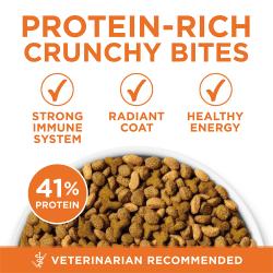 Purina ONE Alto en Proteinas, Peso Saludable Plus Peso Ideal Con Pollo Formula de Control de Peso para Gatos Seco