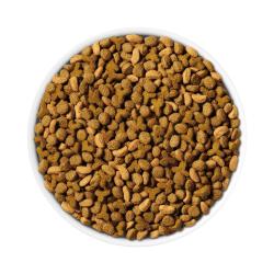 Purina ONE High Protein, Healthy Weight Plus Ideal Weight With Chicken Dry Cat Food Weight Control Formula