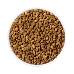 Purina ONE Alto en Proteínas, Peso Saludable Plus Peso Ideal Con Pollo Comida Seca para Gatos Fórmula de Control de Peso