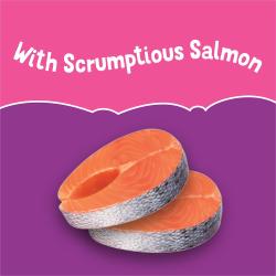 Friskies Friskies lil' shakes scrumptious salmon flavored cat food topper made with real salmon
