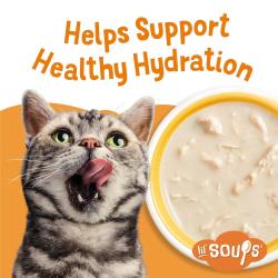 Friskies lil' soups with chicken in a velvety tuna broth flavored cat food topper supports healthy hydration for cats