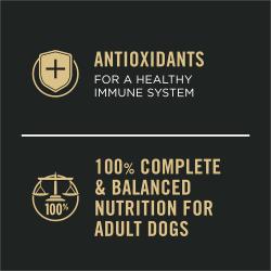 Pro plan sport high protein adult wet dog food