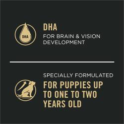 Comida húmeda Pro plan sport para cachorros de hasta dos años