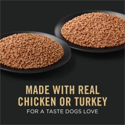 paquete variado de comida húmeda para cachorros Pro plan hecho con pavo y pollo reales